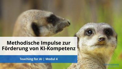In diesem Modul lernen Sie verschiedene Evaluationsinstrumente kennen.